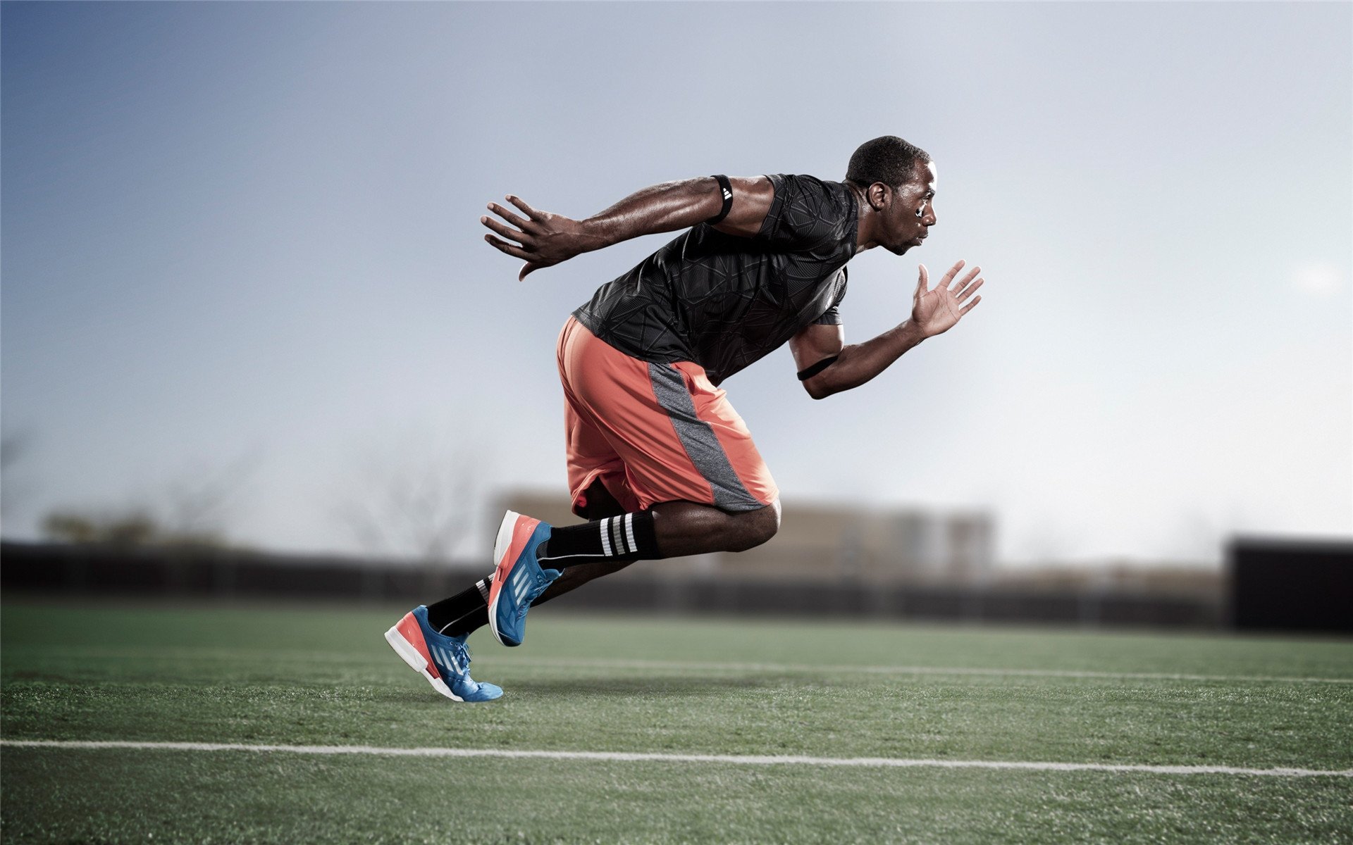 历史题材体育表演,文化时空中的运动魅力,历史体育轶闻趣事