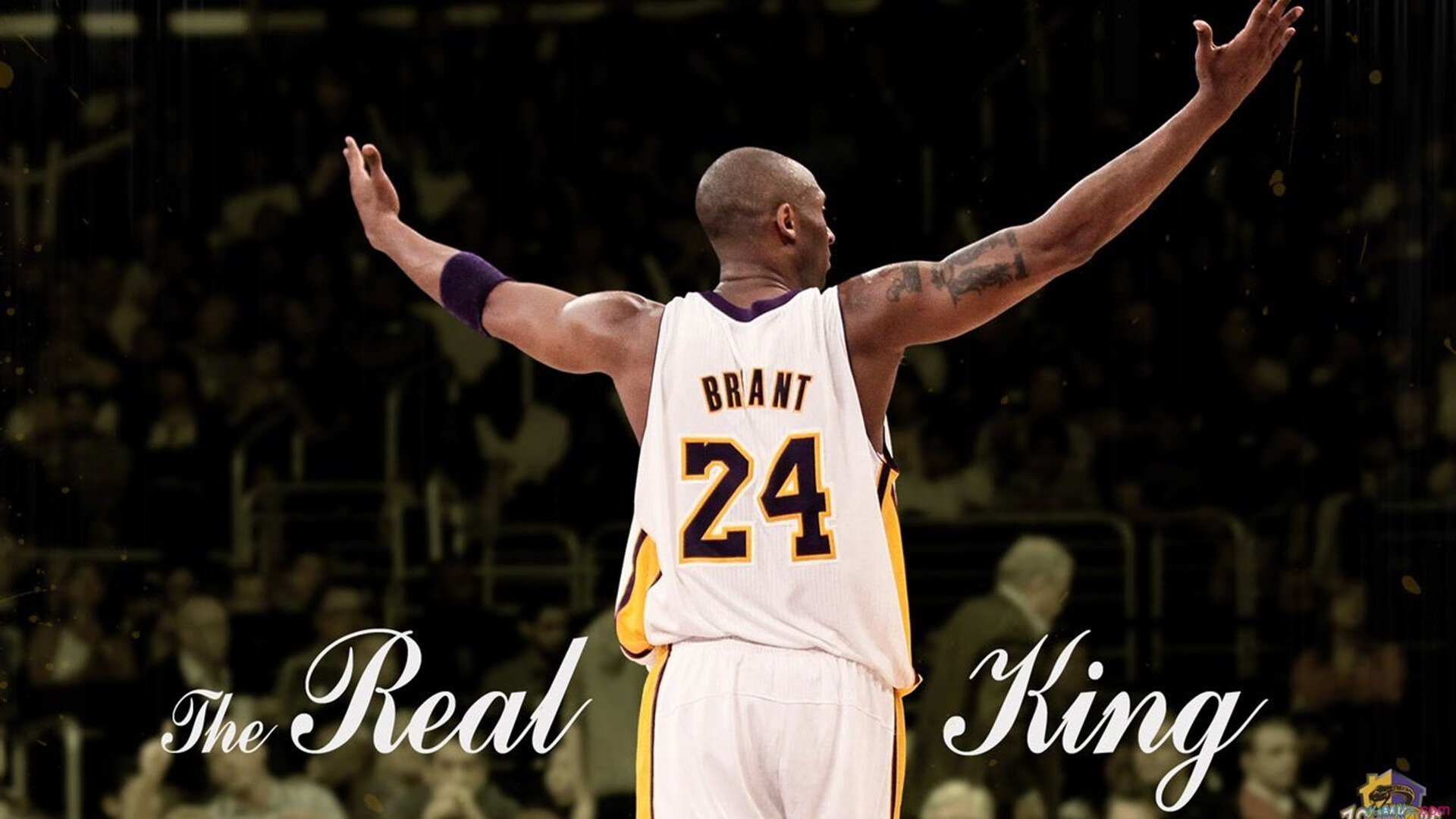 开云真人娱乐官网-史上最“燃”季后赛夜战，哪场比赛最令人难忘？，季后赛战报