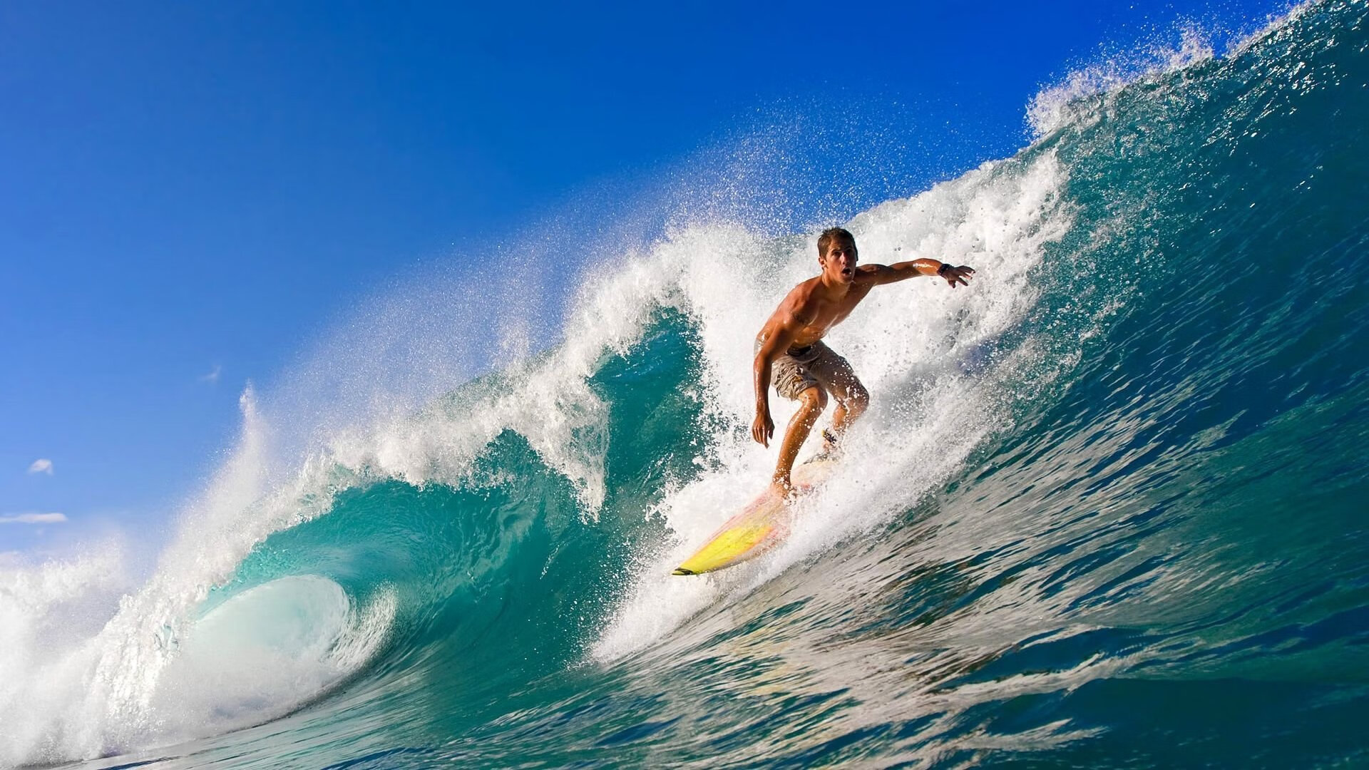 掘金保持连胜继续登顶西部，掘金44胜西部第三